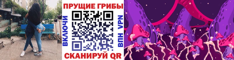 Галлюциногенные грибы ЛСД  Тайга 